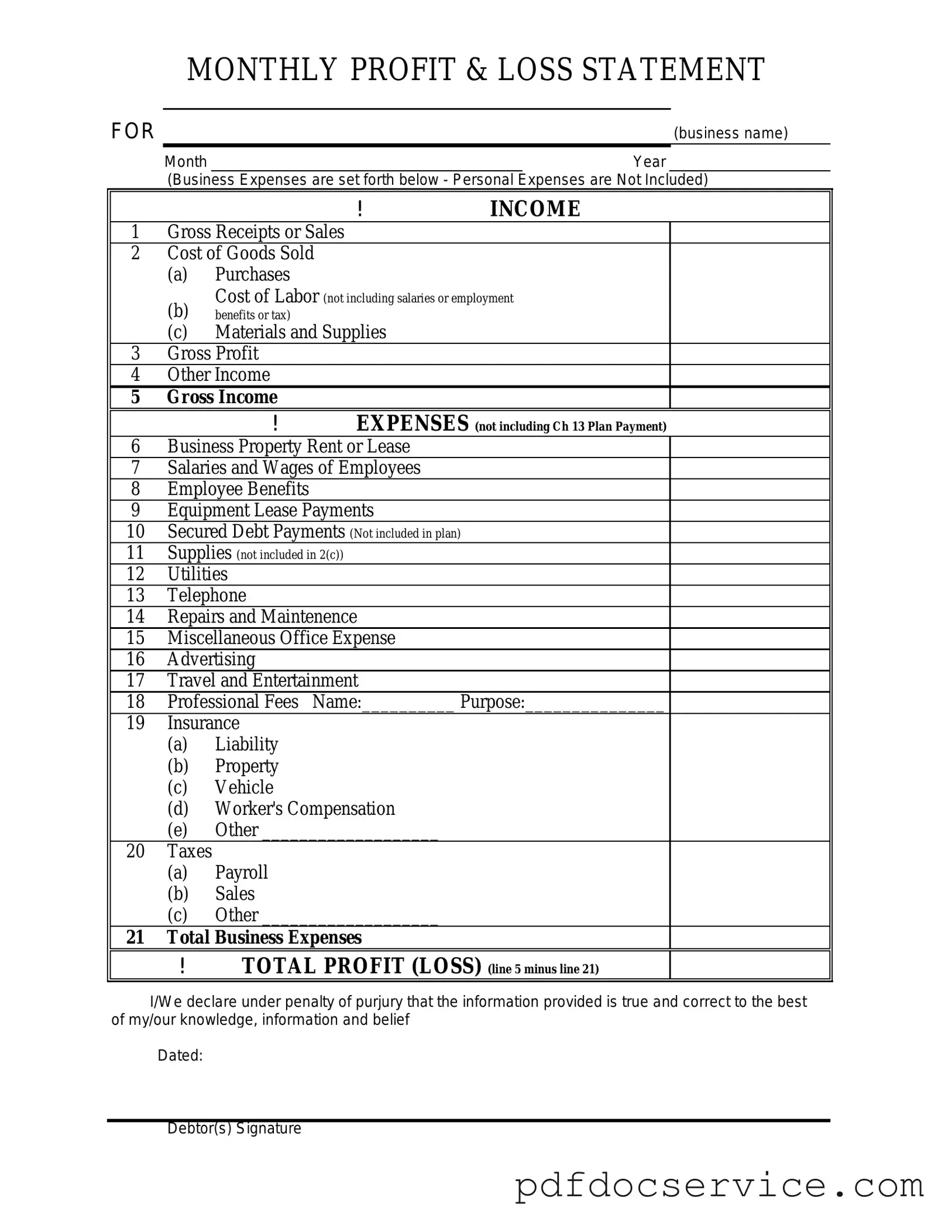Fill Your Profit And Loss Form