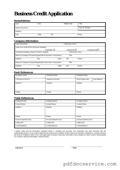 Fill Your Business Credit Application Form